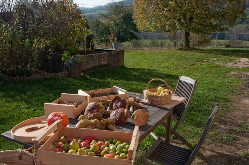 Gite La Grange Du Haut Saint-Antoine  Eksteriør bilde