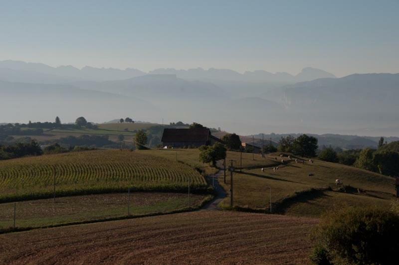 Gite La Grange Du Haut Saint-Antoine  Eksteriør bilde
